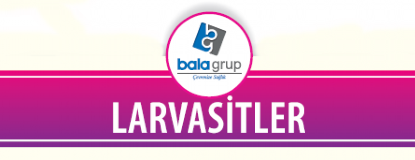 Larvasitler