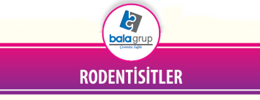 Rodentisitler