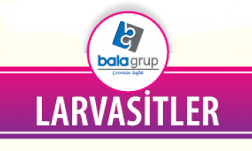 Larvasitler