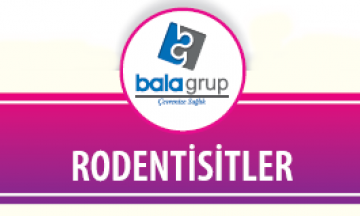 Rodentisitler